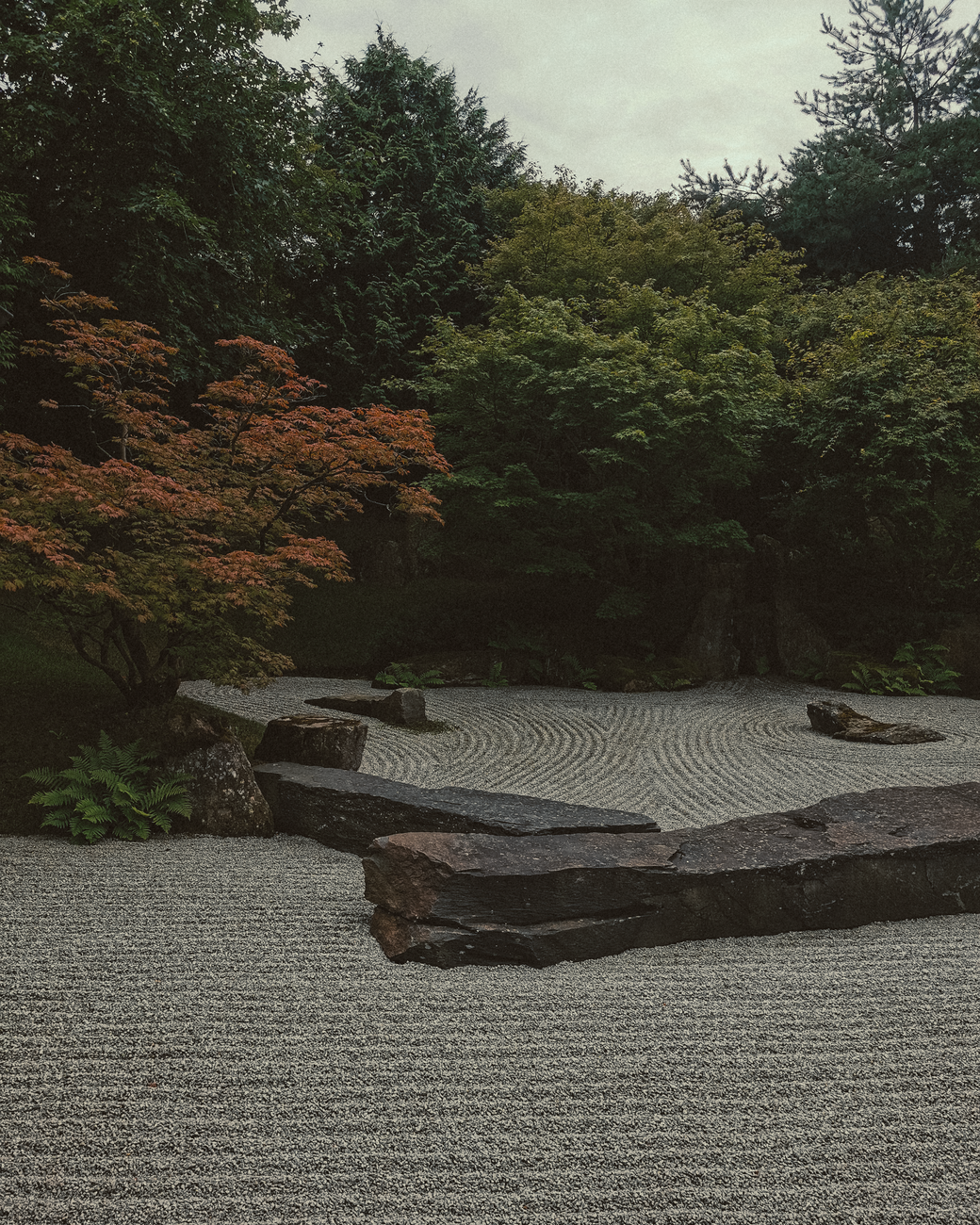 Misty Japanese temple surrounded by autumn moss and cedar trees