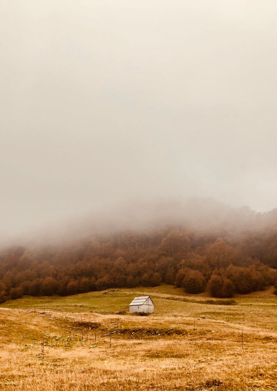 Peaceful mountain cabin surrounded by autumn mist